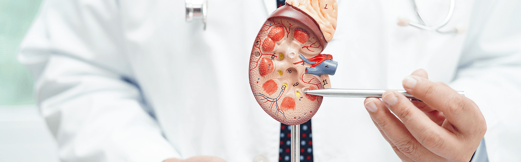 Best Urology Hospital in Trivandrum